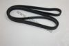 AUTOMEGA 3063400638 V-Ribbed Belts